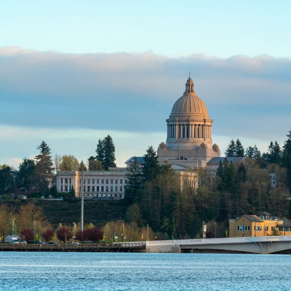 Digital marketing agency in Olympia view of capitol